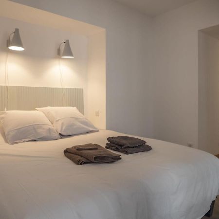 L'Orangeraie Appartement Design En Plein Centre Castres  Esterno foto
